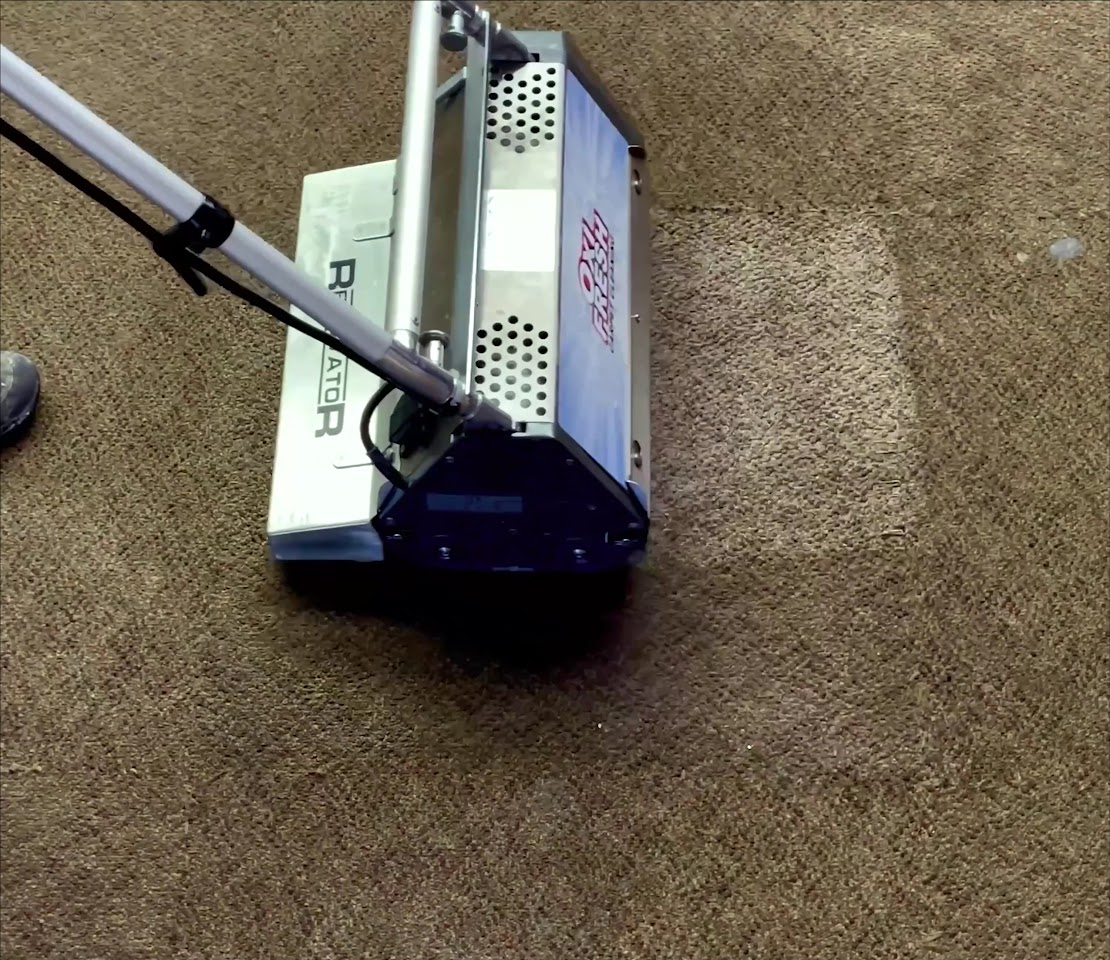 Oxi Fresh Carpet Cleaning project